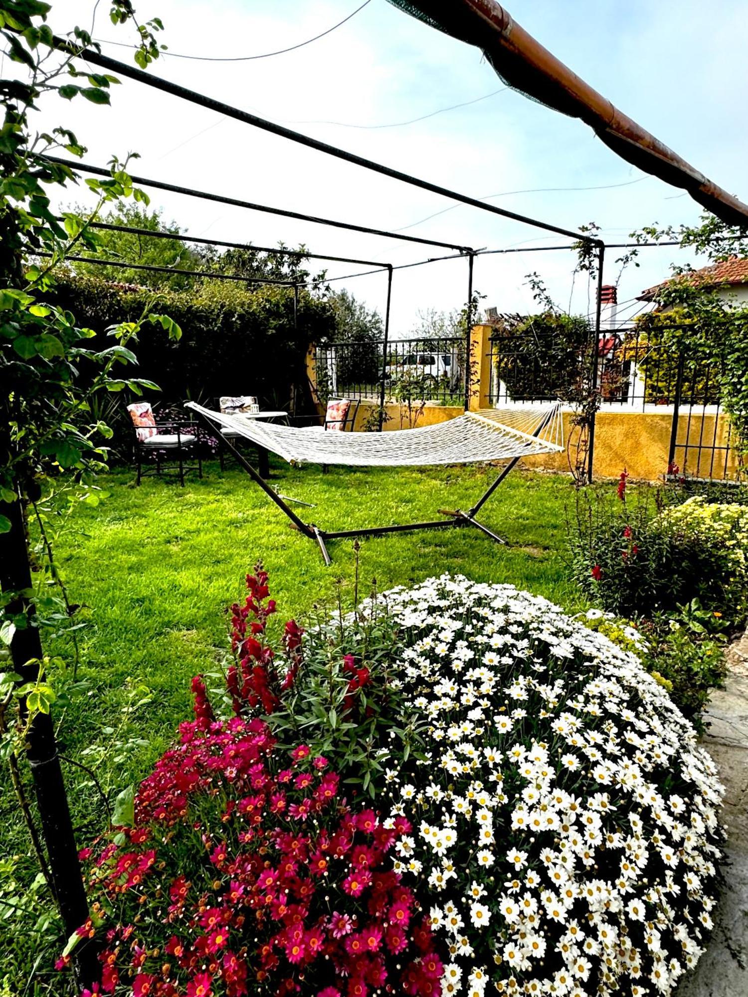 Villa Vaso With Jacuzzi Epanomi Bagian luar foto